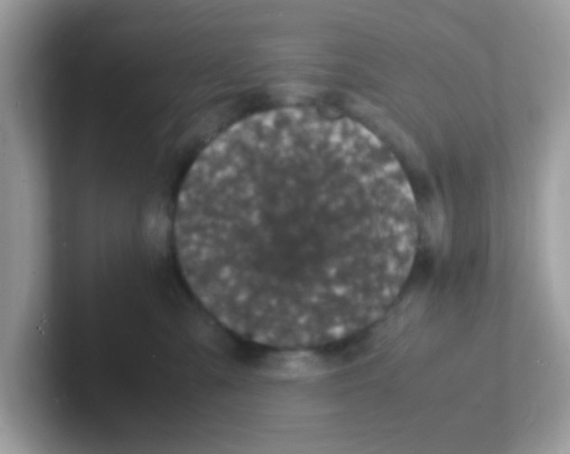 X0000101480427200807281043