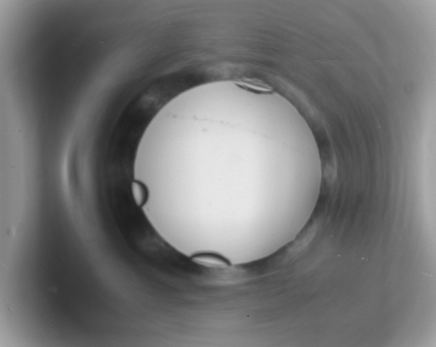 X0000101480429200807281043