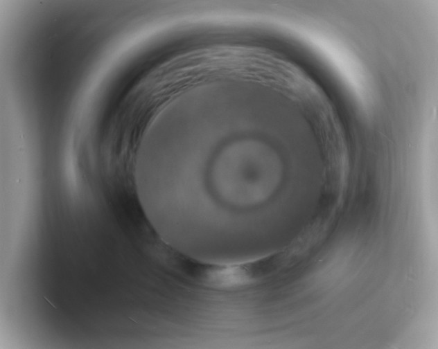 X0000101480431200807281043