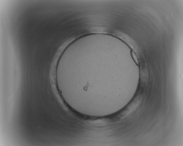 X0000101480433200807281042