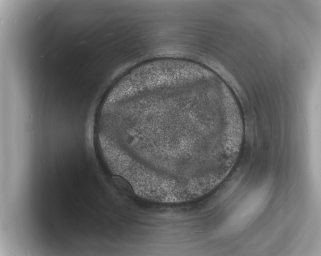 X0000101480434200807281042