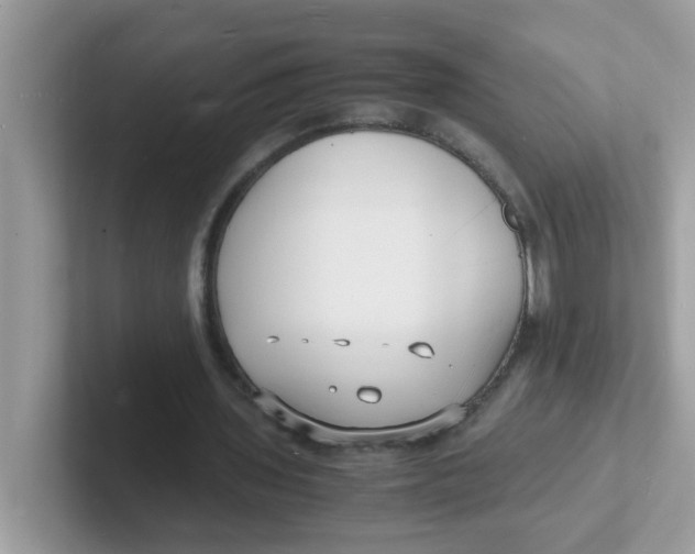 X0000101480435200807281042