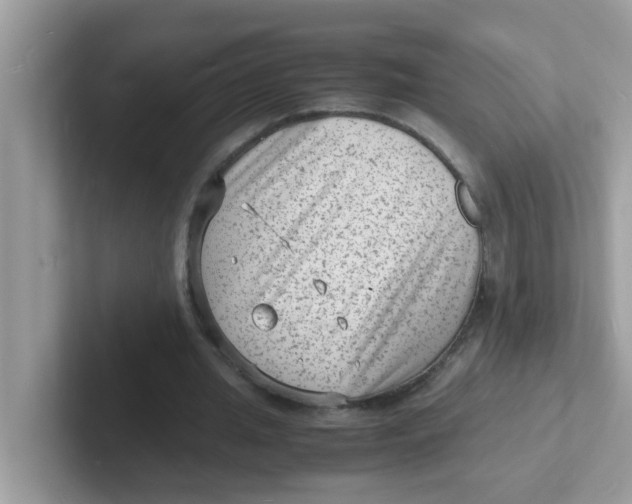 X0000101480437200807281042