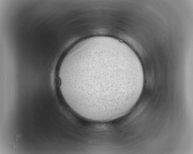 X0000101480439200807281042