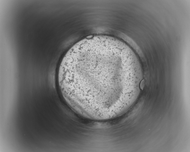 X0000101480442200807281043