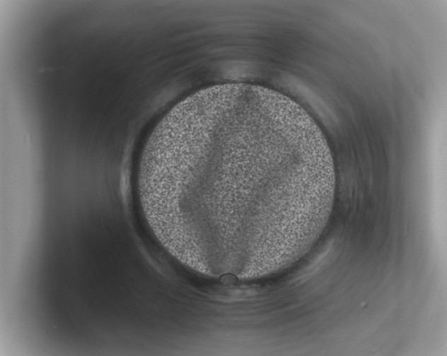 X0000101480443200807281043