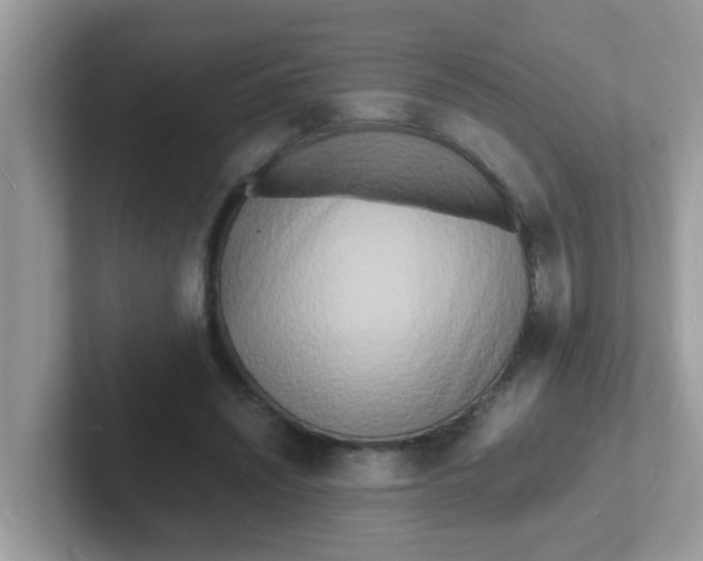 X0000101480444200807281043