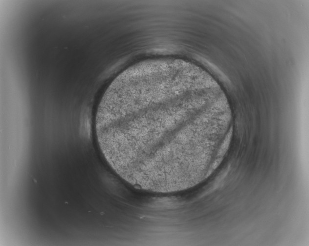 X0000101480446200807281043