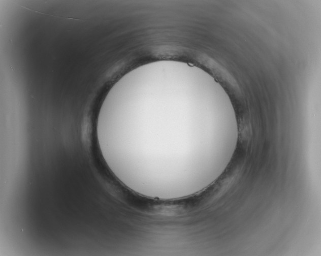 X0000101480448200807281043