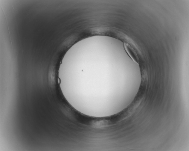 X0000101480452200807281043