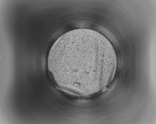 X0000101480453200807281043