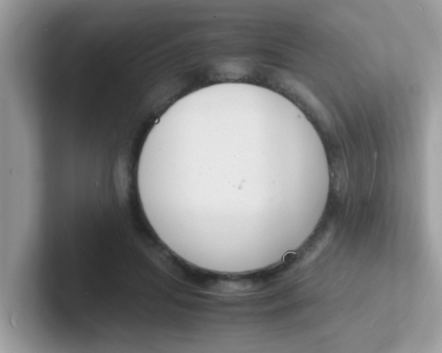 X0000101480455200807281043