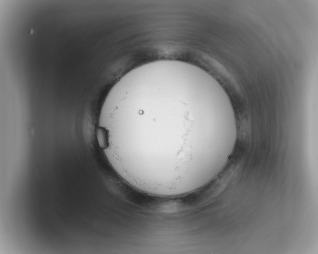 X0000101480456200807281043