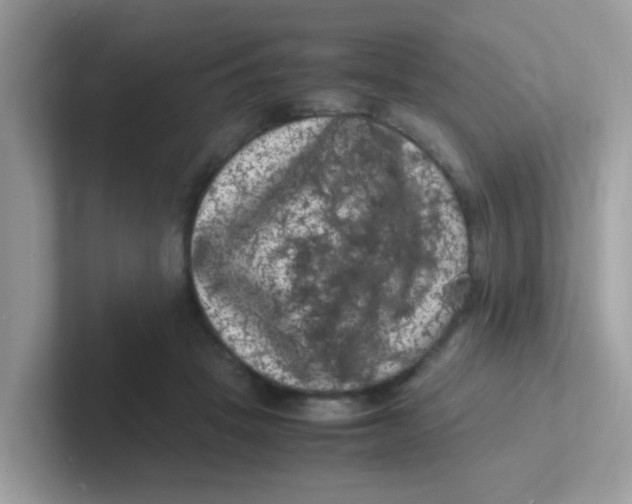 X0000101480457200807281043