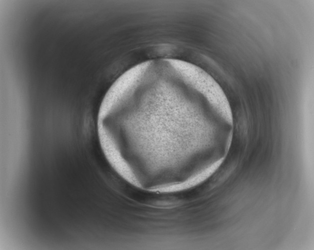 X0000101480459200807281043