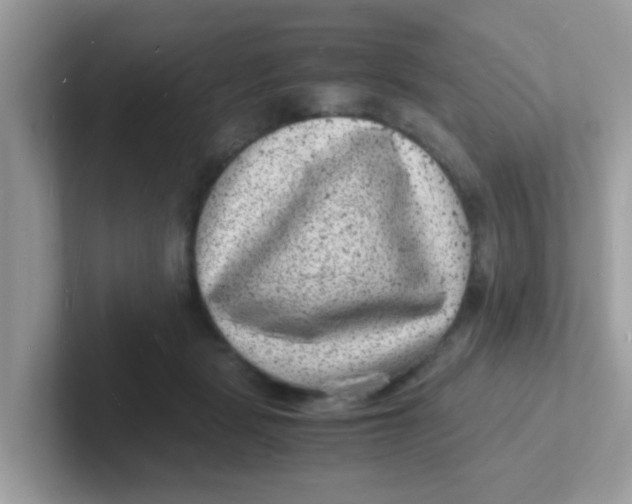 X0000101480461200807281043