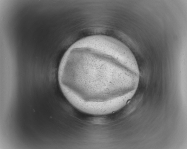 X0000101480462200807281043