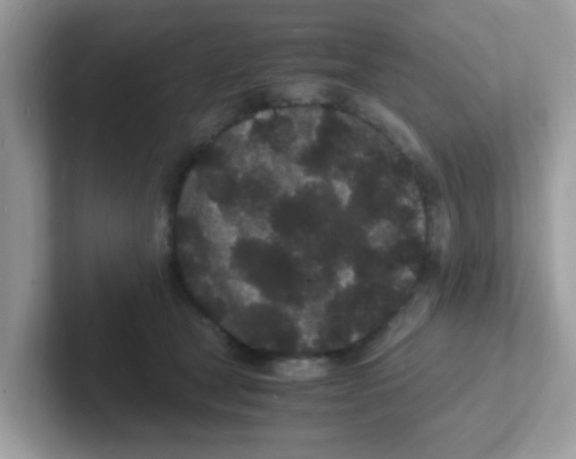 X0000101480465200807281043