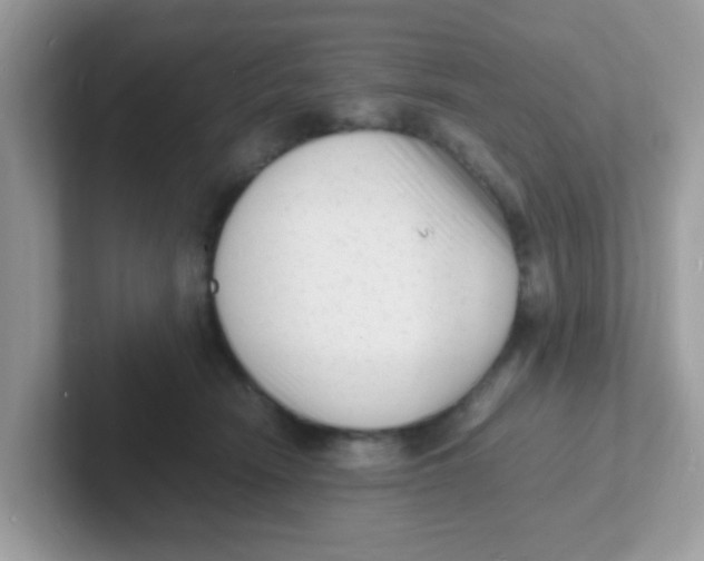 X0000101480466200807281043