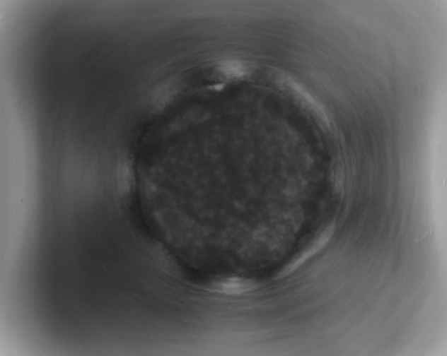 X0000101480467200807281043