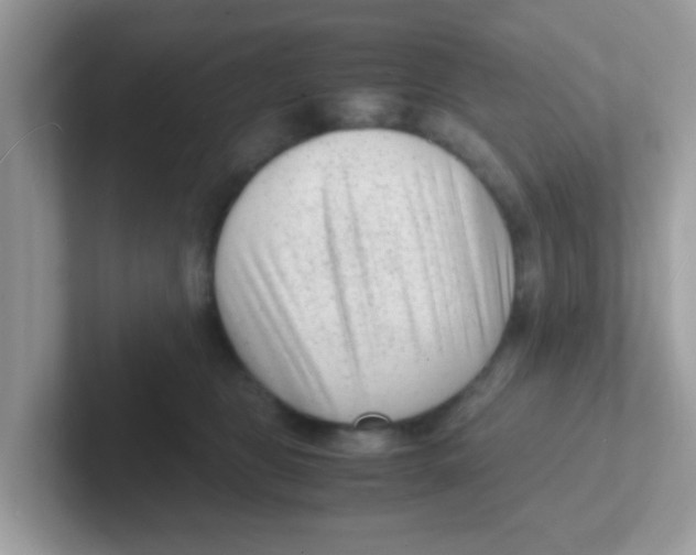 X0000101480469200807281043