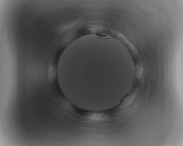 X0000101480471200807281043