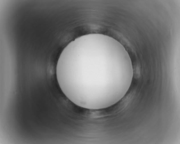 X0000101480472200807281043