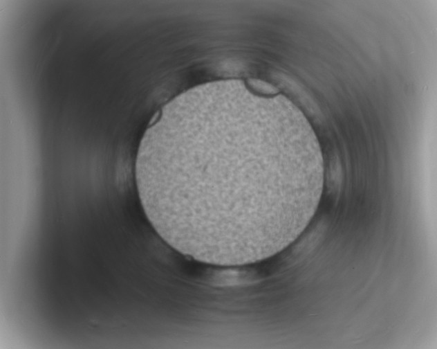 X0000101480473200807281043