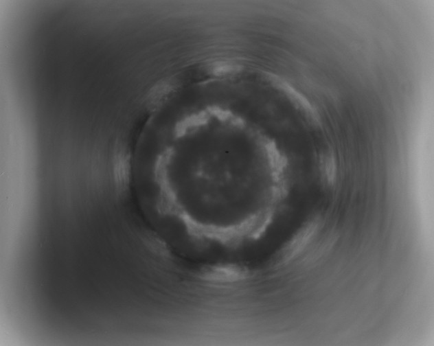 X0000101480475200807281043