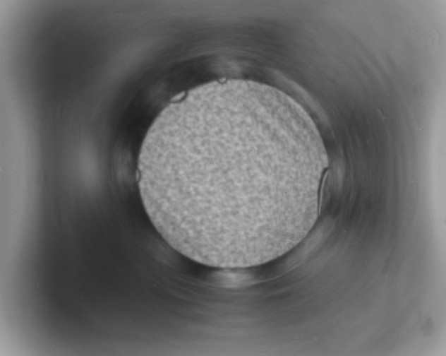 X0000101480477200807281043