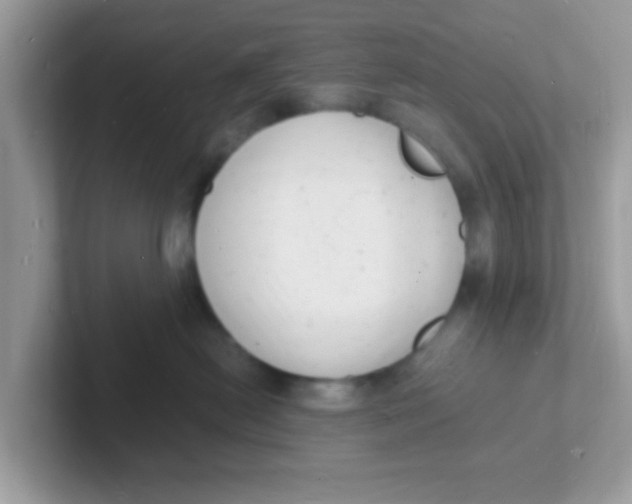 X0000101480478200807281043