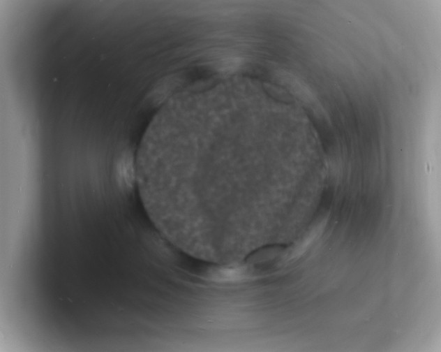 X0000101480479200807281043