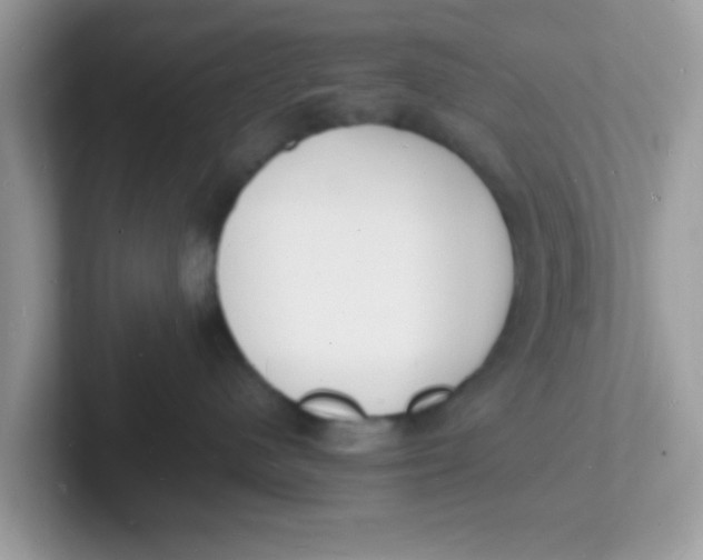 X0000101480480200807281043