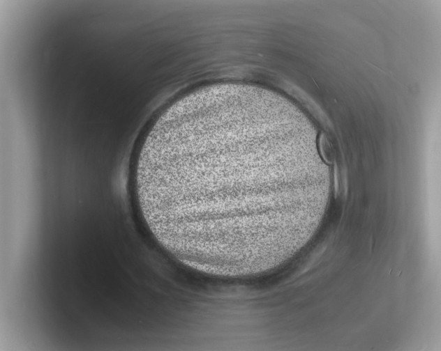 X0000101480483200807281042