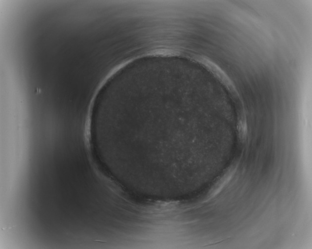 X0000101480484200807281042