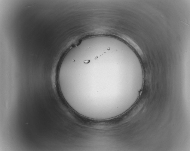 X0000101480485200807281042