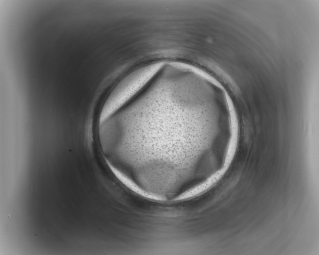 X0000101480486200807281042