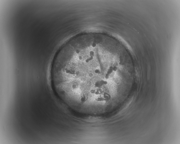 X0000101480487200807281042