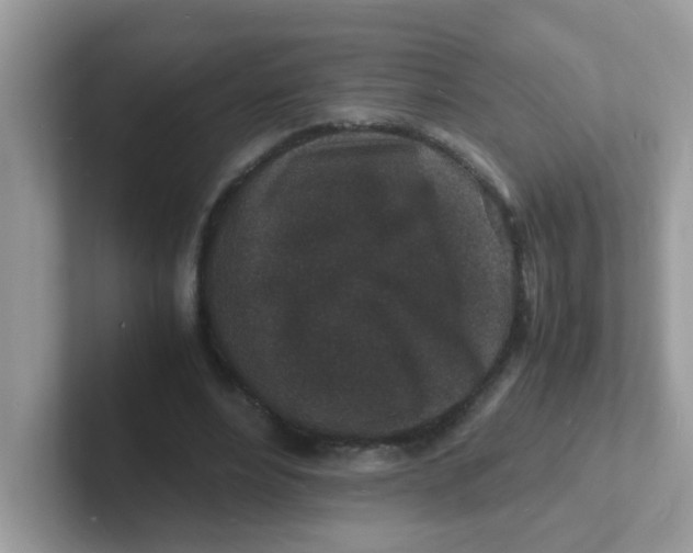 X0000101480488200807281042