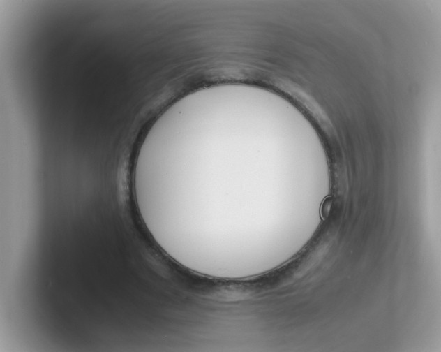 X0000101480489200807281042