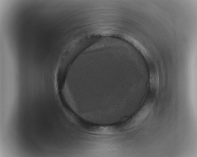 X0000101480493200807281042