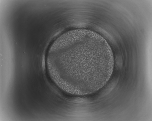 X0000101480494200807281042