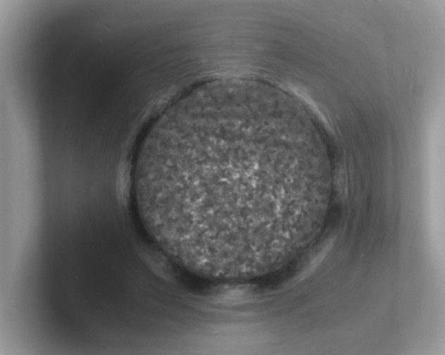 X0000101480495200807281042