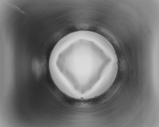 X0000101480498200807281042