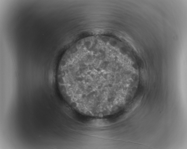 X0000101480499200807281042