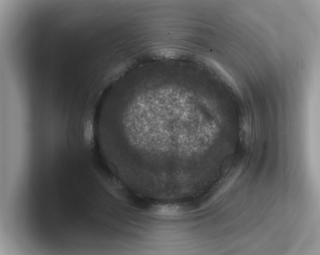 X0000101480500200807281042