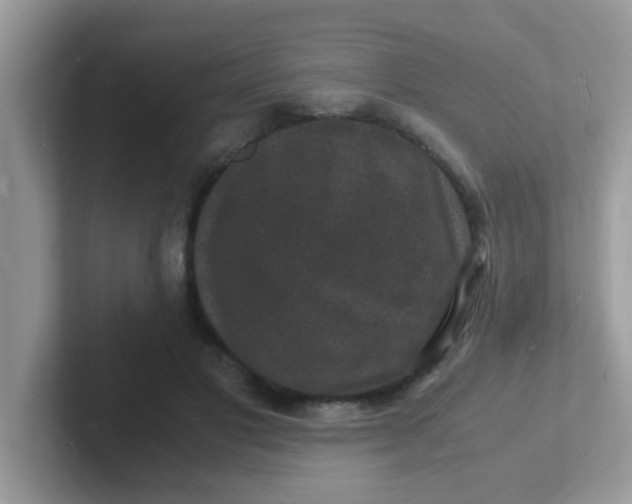 X0000101480501200807281042