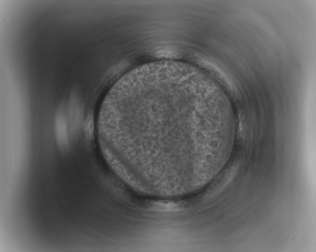 X0000101480502200807281042