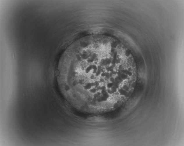 X0000101480503200807281042