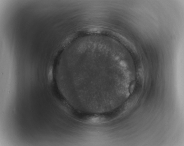 X0000101480504200807281042